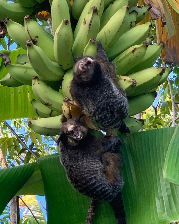 Pousada Sitio Da Bia Marau  Bagian luar foto